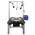 Image of eXpert 8000 planar biaxial system with Digital Image Correlation