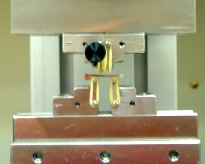 Testing bone sample