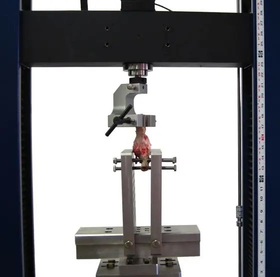 Tissue sample held in grips on an eXpert 2600